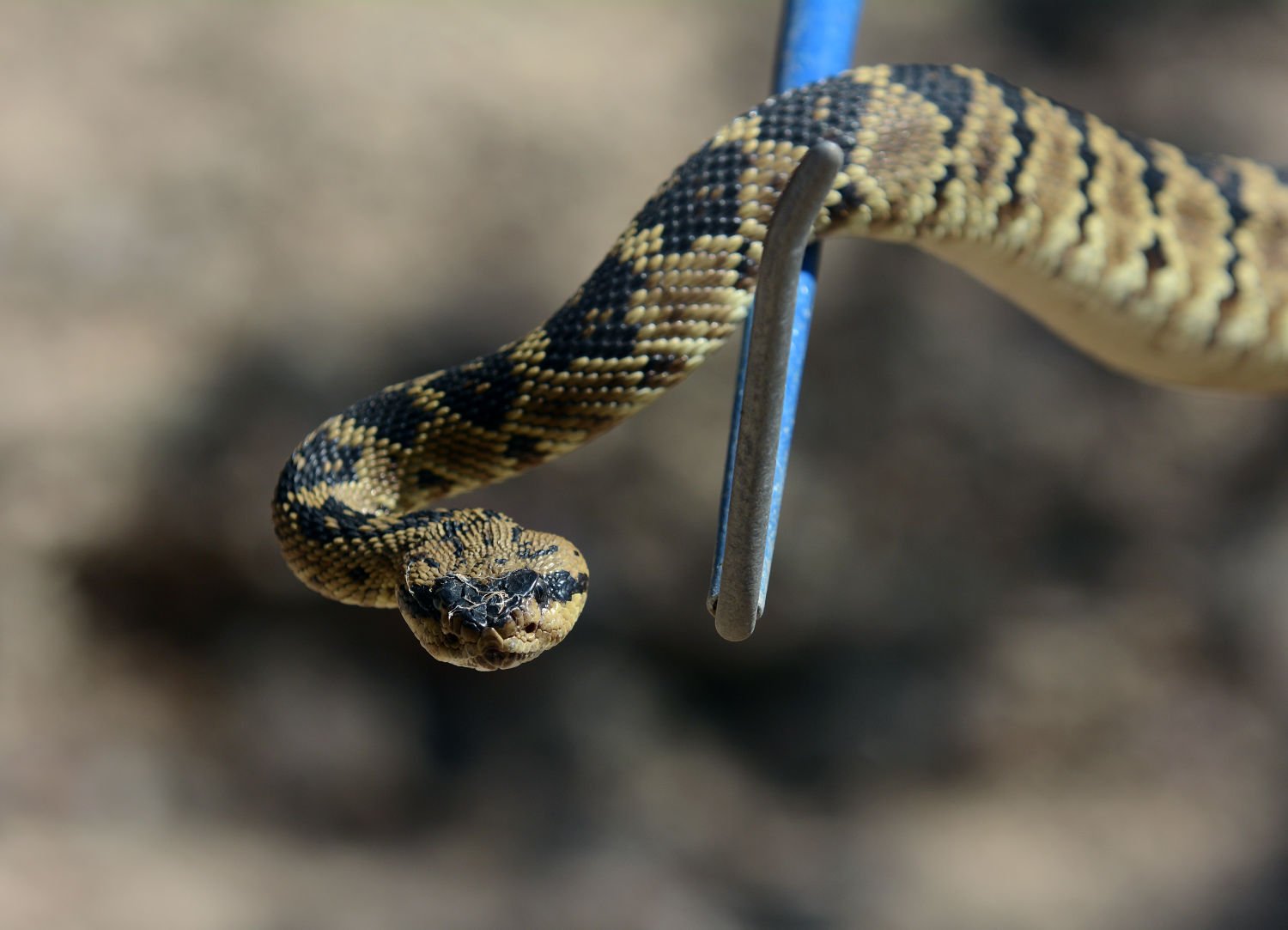 Call your local emergency response department